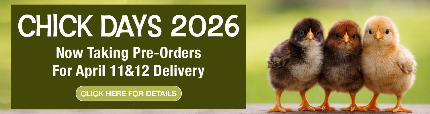 Chick Days 2026