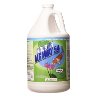 POND ALGAE CONTROL 1 GAL