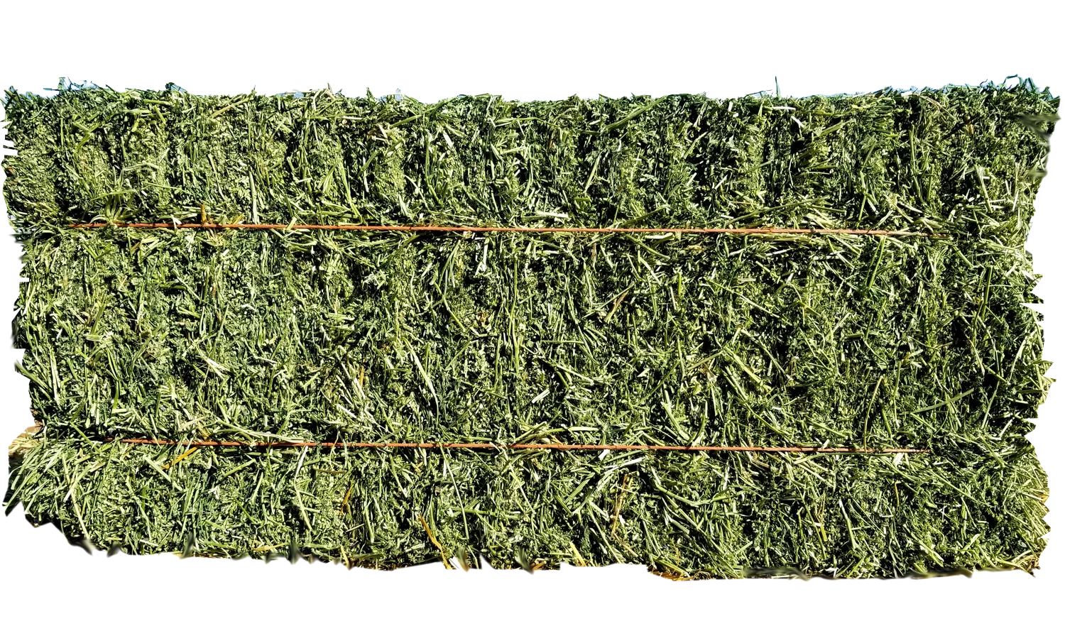 REBER ALFALFA BIG BALE/ 100LB